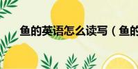 魚的英語怎么讀寫(魚的英語怎么讀)