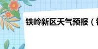 鐵嶺新區天氣預報(鐵嶺新區)