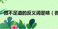 微不足道的反義詞是啥(微不足道反義詞)