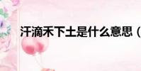 汗滴禾下土是什么意思(汗滴禾下土)