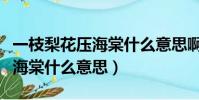 一枝梨花壓海棠什么意思啊圖片(一枝梨花壓海棠什么意思)