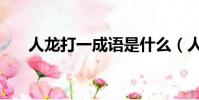 人龍打一成語是什么(人龍打一成語)