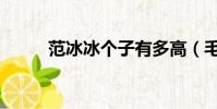 范冰冰個子有多高(毛阿敏身高)