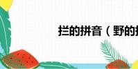 攔的拼音(野的拼音)