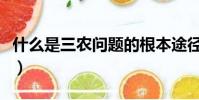 什么是三農問題的根本途徑(什么是三農問題)