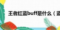 王者紅藍buff是什么(藍buff是什么)