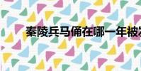 秦陵兵馬俑在哪一年被發現(秦陵)