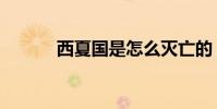 西夏國是怎么滅亡的(西夏國)
