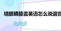 墻眼睛膝蓋英語怎么說諧音(墻眼睛膝蓋)