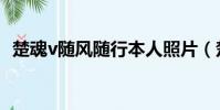 楚魂v隨風隨行本人照片(楚魂v隨風隨行)