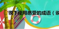 說下使用感受的成語(說下使用感受)