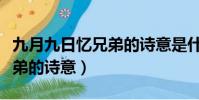 九月九日憶兄弟的詩意是什么(九月九日憶兄弟的詩意)