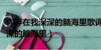 你存在我深深的腦海里歌詞歌名(你存在我深深的腦海里)
