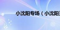 小沈陽專場(小沈陽天津演出)