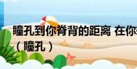瞳孔到你脊背的距離 在你轉身的那一刻清零(瞳孔)