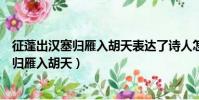 征蓬出漢塞歸雁入胡天表達了詩人怎樣的情感(征蓬出漢塞歸雁入胡天)