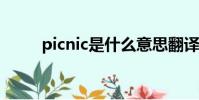 picnic是什么意思翻譯(picnics)