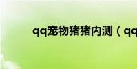 qq寵物豬豬內測(qq寵物豬豬)