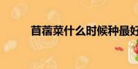 苜蓿菜什么時候種最好(苜蓿菜)