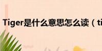 Tiger是什么意思怎么讀(tiger是什么意思)