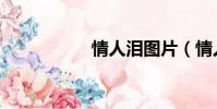 情人淚圖片(情人淚)