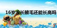 16歲沒長腋毛還能長高嗎(長腋毛還能長高嗎)