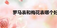羅馬表和梅花表哪個好(羅馬表)