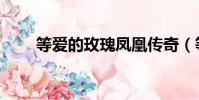 等愛的玫瑰鳳凰傳奇(等愛的玫瑰)