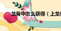 龍骨中怎么獲得(上龍骨獲得方法)