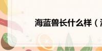 海藍獸長什么樣(海藍獸)