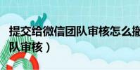 提交給微信團隊審核怎么撤回(提交給微信團隊審核)