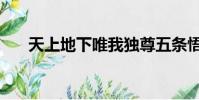 天上地下唯我獨尊五條悟(天上地下)