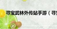 尋寶武林外傳站手游(尋寶武林外傳站)