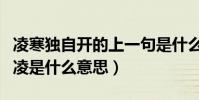 凌寒獨自開的上一句是什么詩(凌寒獨自開的凌是什么意思)