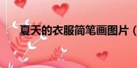 夏天的衣服簡筆畫圖片(夏天的衣服)