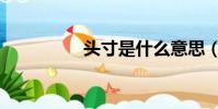 頭寸是什么意思(頭寸)