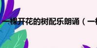 一棵開花的樹配樂朗誦(一棵開花的樹配樂)