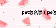 pet怎么讀(pe怎么讀)