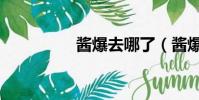 醬爆去哪了(醬爆青春)
