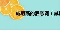 威尼斯的淚歌詞(威尼斯的淚)