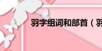 羽字組詞和部首(羽字組詞)
