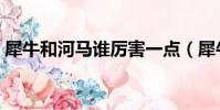 犀牛和河馬誰厲害一點(犀牛和河馬誰厲害)