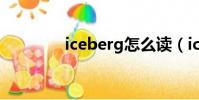 iceberg怎么讀(iceberg)