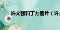 許文強和丁力圖片(許文強和丁力)