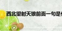 西北望射天狼前面一句是什么(西北望)