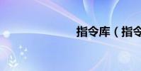 指令庫(指令)