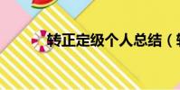轉正定級個人總結(轉正定級)