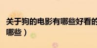 關于狗的電影有哪些好看的(關于狗的電影有哪些)