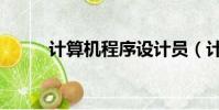 計算機程序設計員(計算機程序)