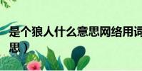 是個狼人什么意思網絡用詞(是個狼人什么意思)